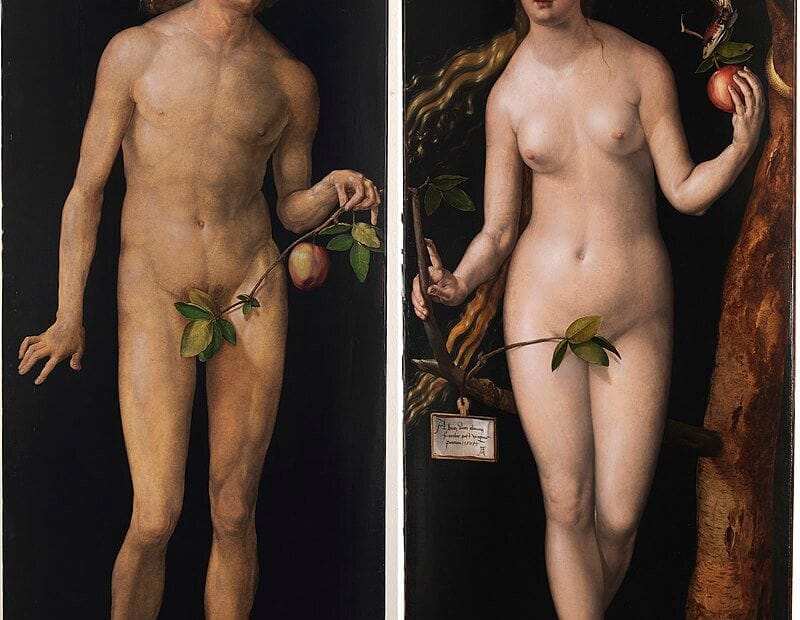 Albrecht Dürer -Adam and Eve (Prado) 2